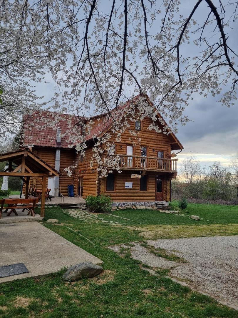 Valea Vistisoarei Vistisoara Exterior foto